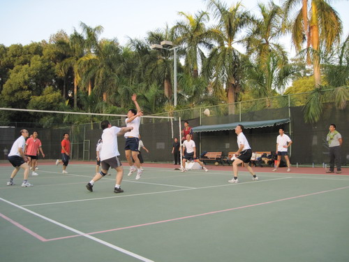 永利集团3044noc登录入口85周年校庆教职工排球赛，我院教工再创佳绩 