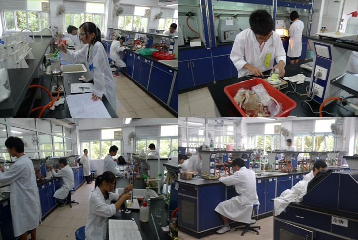 严谨科学•求实创新——记2011年永利集团3044noc登录入口大学生化学实验竞赛 