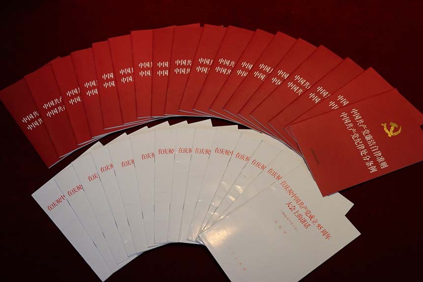 永利集团3044noc登录入口党委召开全体党支部委员会议