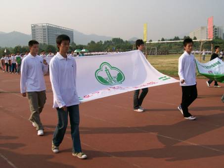 迎风招展的“四叶草”