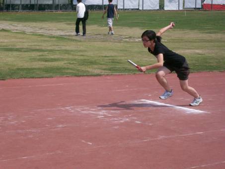 迎风招展的“四叶草”